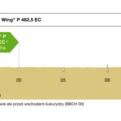 Etykieta Wing® P 462,5 EC 4,0 L/ha dla ochrony kukurydzy. Schemat pokazuje fazy wzrostu rośliny od BBCH 00 do 10.
