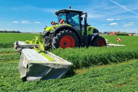 Zielony traktor z kosiarkami pracuje na polu. Rolnik zbiera plon, zastanawiając się, ile lucerny na hektar uda się uzyskać.