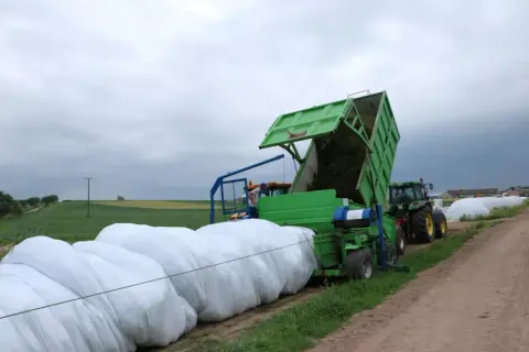 Maszyna rolnicza pakuje kukurydzę na kiszonkę w białe worki. Ciągnik z przyczepą stoi obok.