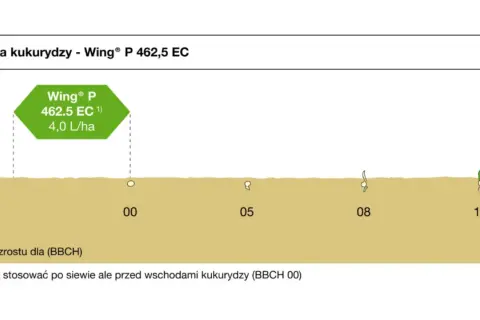 Etykieta Wing® P 462,5 EC 4,0 L/ha dla ochrony kukurydzy. Schemat pokazuje fazy wzrostu rośliny od BBCH 00 do 10.