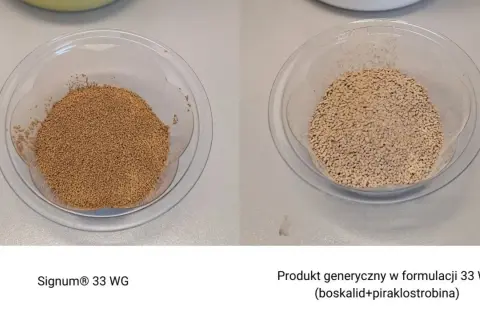 Dwa naczynia z granulatem: po lewej Signum® 33 WG, po prawej produkt generyczny.