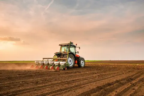 Traktor sieje rzepak na polu. Wschodzące słońce maluje niebo na pomarańczowo, tworząc malowniczy krajobraz.