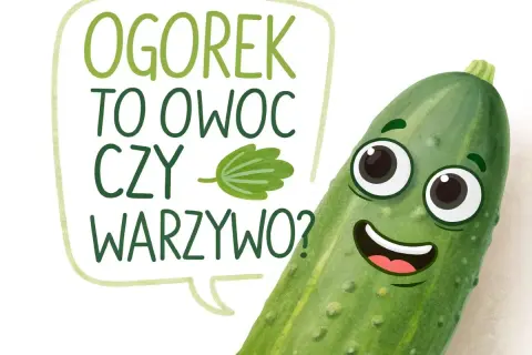 Uśmiechnięty ogórek zastanawia się: "Czy ogórek to owoc czy warzywo?". Zabawna grafika edukacyjna.