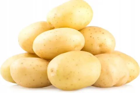 Stos świeżych ziemniaków Colombo, idealnych na frytki lub purée.