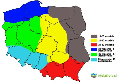 Mapa Polski z terminem siewu pszenicy ozimej. Różne kolory oznaczają optymalne daty od 15 września do 15 października.