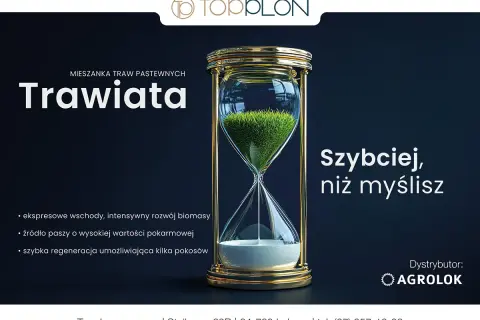 Krzyżówka cennej trawy pastewnej w klepsydrze symbolizuje szybki wzrost i obfitość paszy.